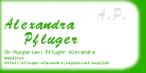 alexandra pfluger business card